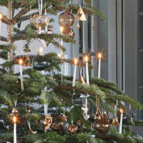 Christmas Collection